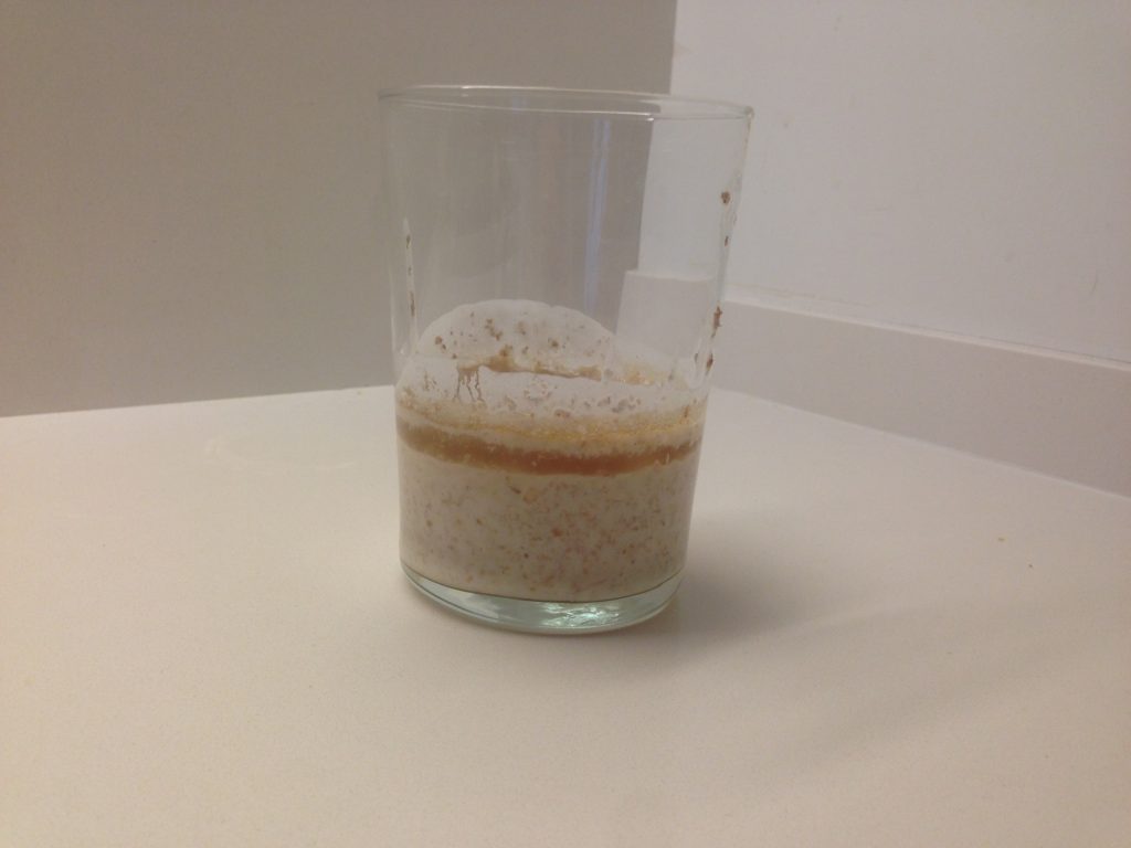 masa madre conocete40