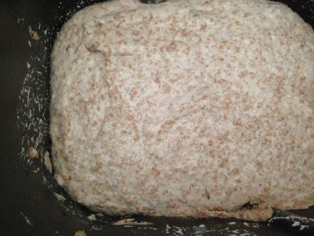 masa madre conocete40